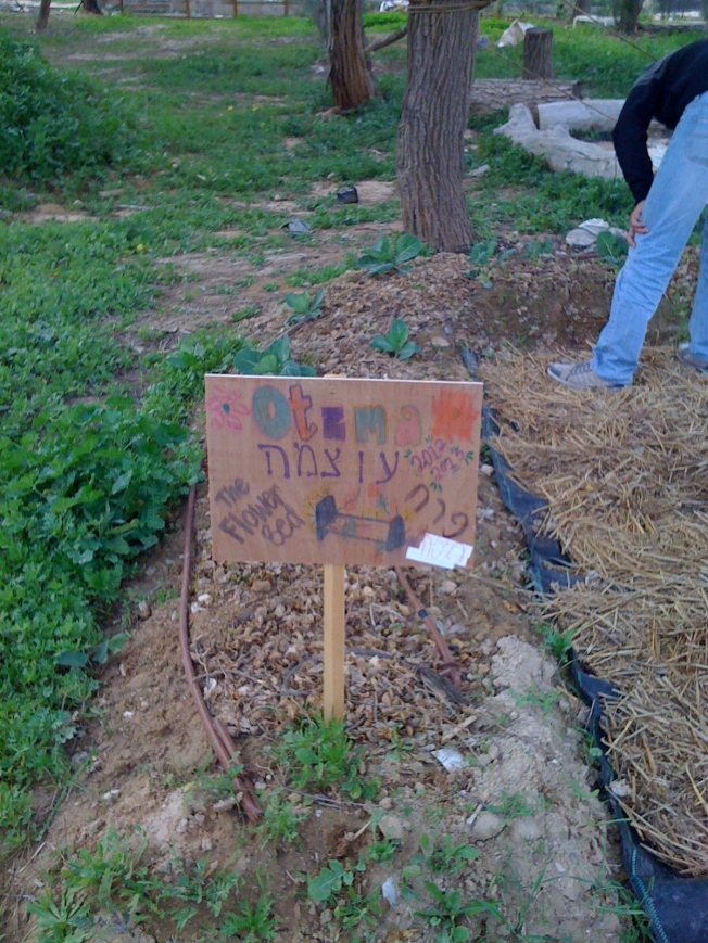 OTZMA Ofakim girls' plot at the garden. The sign was a collaborate effort between us all, but I ended up drawing the sign.